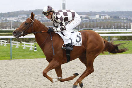 Actualités Hippiques